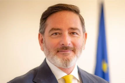 Director for Digital, EU4Health and Health Systems Modernisation, DG SANTE, European Commission